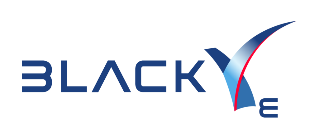 Black Ve blue logo