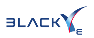 Black Ve blue logo